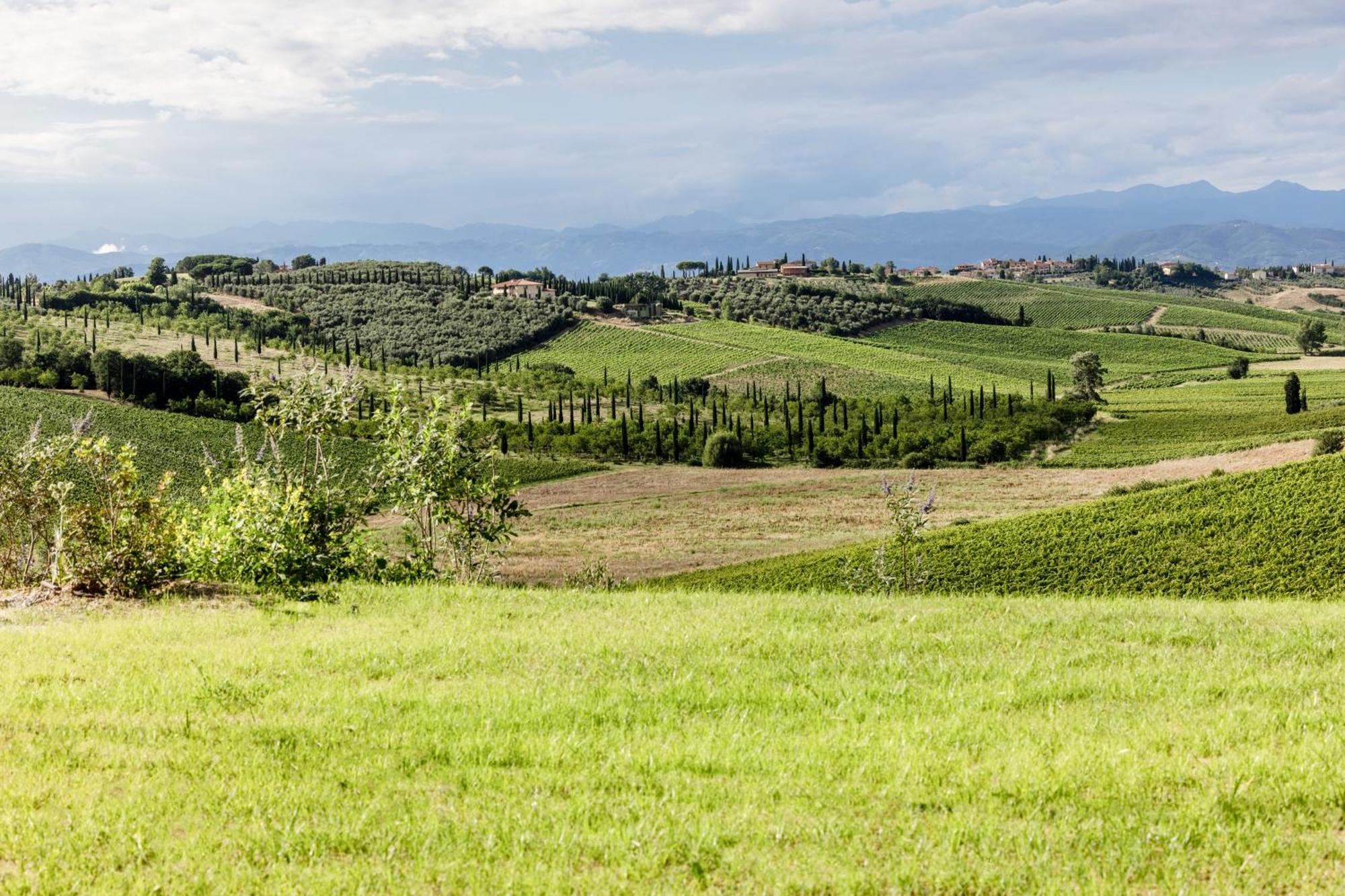 Colle Alberti Country House Cerreto Guidi Exterior photo